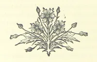 An illustration from Evelyn Howard: or, Early Friendships ... With ... illustrations (1875)