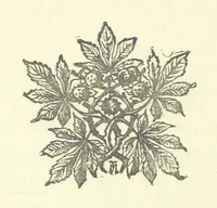 An illustration from Evelyn Howard: or, Early Friendships ... With ... illustrations (1875)