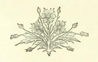 An illustration from Evelyn Howard: or, Early Friendships ... With ... illustrations (1875)