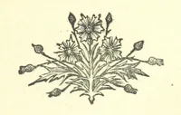 Picture 21 of 25 from Evelyn Howard: or, Early Friendships ... With ... illustrations (1875), leaf 401