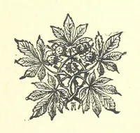 Picture 22 of 25 from Evelyn Howard: or, Early Friendships ... With ... illustrations (1875), leaf 423