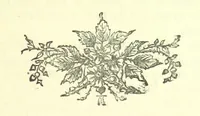 An illustration from Evelyn Howard: or, Early Friendships ... With ... illustrations (1875)