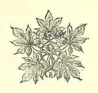 Picture 24 of 25 from Evelyn Howard: or, Early Friendships ... With ... illustrations (1875), leaf 471