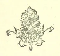 An illustration from Evelyn Howard: or, Early Friendships ... With ... illustrations (1875)