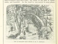 An illustration from Pawson and Brailsford's Illustrated Guide to Sheffield and neighbourhood, etc (1862)