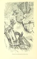 An illustration from Melincourt, or Sir Oran Haut-Ton ... With an introduction by George Saintsbury (1896)