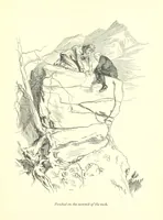 An illustration from Melincourt, or Sir Oran Haut-Ton ... With an introduction by George Saintsbury (1896)