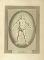 An illustration from The Voyages and Travels of Capt. Cook, Mungo Park, La Perouse, and others; ... with a ... geographical description of the World. Embellished with ... engravings and maps. (The World or the present state of the Universe. ... Vol. II.) (1808)