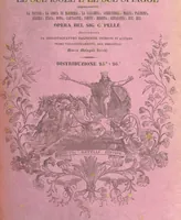 Picture 50 of 75 from Il Mediterraneo illustrato, le sue isole e le sue spiagge ... opera illustrata da sessantaquattro magnifiche incisioni in acciaio eseguite dai più distinti artisti di Londra, su i disegni originali levati sopra luogo dai sigg. W. L. Leitch, Sir Grenville Temple, Baronetto, e Allen ... preceduta da un saggio storico sul Mediterraneo, e compilata dal bibliofilo M. Malagoli Vecchi sulle tracce del signor C. Pellé, etc (1841), leaf 339