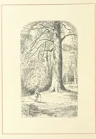 An illustration from Pen and Pencil Pictures from the Poets. [With illustrations (1866)
