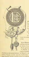Picture 15 of 29 from Las Calles de Madrid. Noticias, tradiciones y curiosidades ... Dibujos de La Cerda (1889), leaf 307