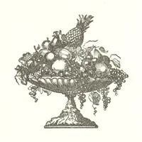 An illustration from History of Bond and Montgomery Counties, Illinois. Edited by W. H. Perrin. Illustrated (1882)