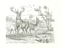 An illustration from History of Crawford County and Ohio (1881)