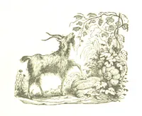 An illustration from A Series of Select Views in Perthshire: with historical and descriptive illustrations; and an account of the royal progress through the county in M.DCCC.XLII. [With plates (1844)