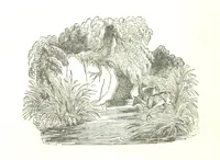 An illustration from A Series of Select Views in Perthshire: with historical and descriptive illustrations; and an account of the royal progress through the county in M.DCCC.XLII. [With plates (1844)