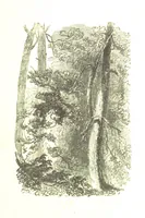 An illustration from A Series of Select Views in Perthshire: with historical and descriptive illustrations; and an account of the royal progress through the county in M.DCCC.XLII. [With plates (1844)