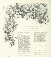An illustration from A Crown of Flowers, being poems and pictures collected from the pages of The Girl's Own Paper. Edited by C. Peters (1883)