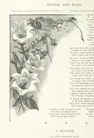 An illustration from A Crown of Flowers, being poems and pictures collected from the pages of The Girl's Own Paper. Edited by C. Peters (1883)