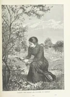 An illustration from A Crown of Flowers, being poems and pictures collected from the pages of The Girl's Own Paper. Edited by C. Peters (1883)