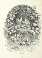 An illustration from A Crown of Flowers, being poems and pictures collected from the pages of The Girl's Own Paper. Edited by C. Peters (1883)