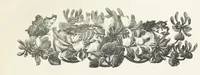 An illustration from A Crown of Flowers, being poems and pictures collected from the pages of The Girl's Own Paper. Edited by C. Peters (1883)