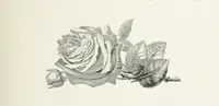 An illustration from A Crown of Flowers, being poems and pictures collected from the pages of The Girl's Own Paper. Edited by C. Peters (1883)