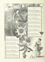An illustration from A Crown of Flowers, being poems and pictures collected from the pages of The Girl's Own Paper. Edited by C. Peters (1883)