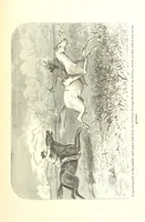 An illustration from The Life and Adventures of Kit Carson, the Nestor of the Rocky Mountains, etc (1888)