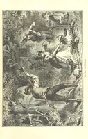 An illustration from The Life and Adventures of Kit Carson, the Nestor of the Rocky Mountains, etc (1888)