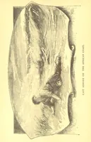 Picture 5 of 31 from Richard Galbraith, mariner: or, life among the Kaffirs (1895), leaf 28