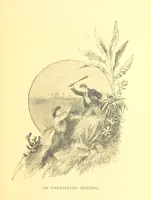 An illustration from Richard Galbraith, mariner: or, life among the Kaffirs (1895)
