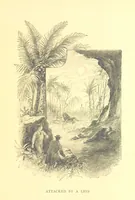 An illustration from Richard Galbraith, mariner: or, life among the Kaffirs (1895)