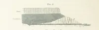 An illustration from The Mining and Metallurgy of Gold and Silver (1867)