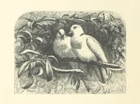 An illustration from Picture Posies. Poems chiefly by living authors, and drawings by F. Walker, J. W. North, A. B. Boughton [and others] ... Engraved by Dalziel Brothers (1874)