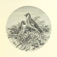 An illustration from Picture Posies. Poems chiefly by living authors, and drawings by F. Walker, J. W. North, A. B. Boughton [and others] ... Engraved by Dalziel Brothers (1874)
