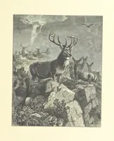 An illustration from Picture Posies. Poems chiefly by living authors, and drawings by F. Walker, J. W. North, A. B. Boughton [and others] ... Engraved by Dalziel Brothers (1874)