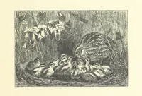 An illustration from Picture Posies. Poems chiefly by living authors, and drawings by F. Walker, J. W. North, A. B. Boughton [and others] ... Engraved by Dalziel Brothers (1874)