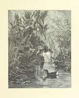 An illustration from Picture Posies. Poems chiefly by living authors, and drawings by F. Walker, J. W. North, A. B. Boughton [and others] ... Engraved by Dalziel Brothers (1874)