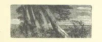 An illustration from Picture Posies. Poems chiefly by living authors, and drawings by F. Walker, J. W. North, A. B. Boughton [and others] ... Engraved by Dalziel Brothers (1874)
