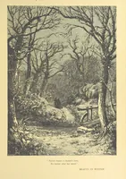 An illustration from Idyllic Pictures. Drawn by Barnes, Miss E. Edwards, P. Gray, Houghton, R. P. Leitch, Pinwell, Sandys, Small, G. Thomas, etc (1867)