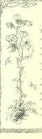 Picture 76 of 122 from Poems and Pictures ... A new edition (1865), leaf 130
