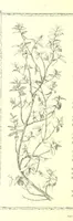 Picture 104 of 122 from Poems and Pictures ... A new edition (1865), leaf 206
