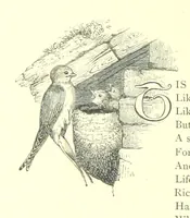 An illustration from Poems and Pictures ... A new edition (1865)