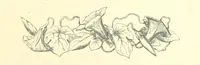 Picture 23 of 122 from Poems and Pictures ... A new edition (1865), leaf 53