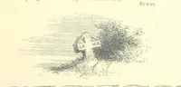 Picture 31 of 122 from Poems and Pictures ... A new edition (1865), leaf 67