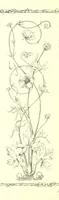 An illustration from Poems and Pictures ... A new edition (1865)