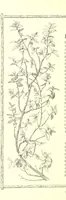 Picture 50 of 122 from Poems and Pictures ... A new edition (1865), leaf 94