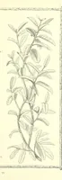 An illustration from Poems and Pictures ... A new edition (1865)
