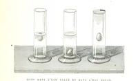 Picture 36 of 56 from Six semaines de vacances. [With illustrations (1880), leaf 117