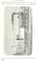 An illustration from Six semaines de vacances. [With illustrations (1880)